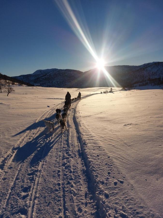 In Love With Norway Larvik Buitenkant foto