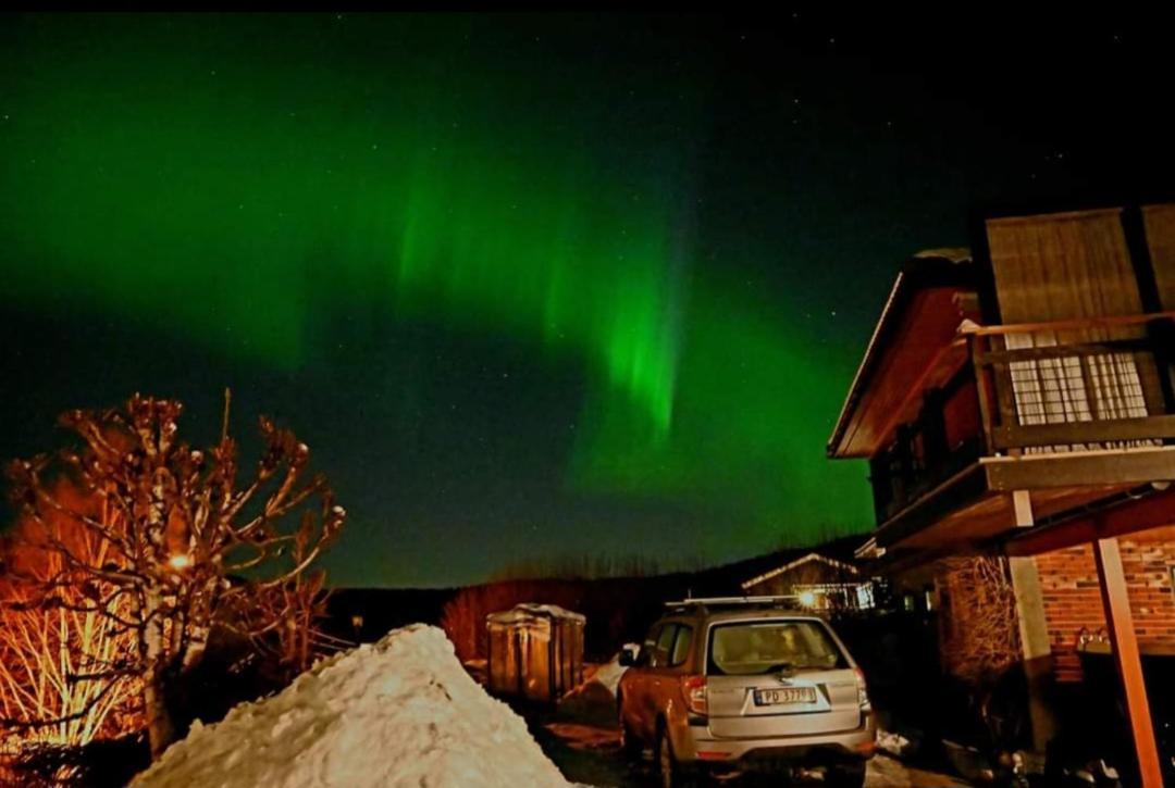 In Love With Norway Larvik Buitenkant foto